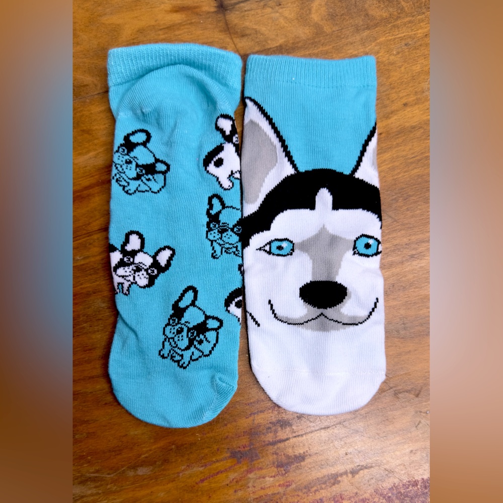 Assorted Dog-Themed Socks (10 Pairs, Adult Size)